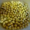 sprouted_chick_peas | hemp sprout bag