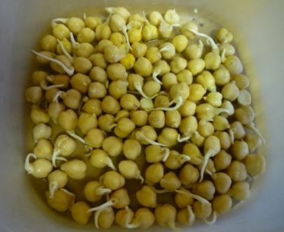 sprouted_chick_peas | hemp sprout bag